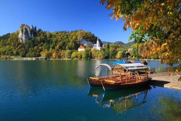 Mia Dream Daire Bled Dış mekan fotoğraf