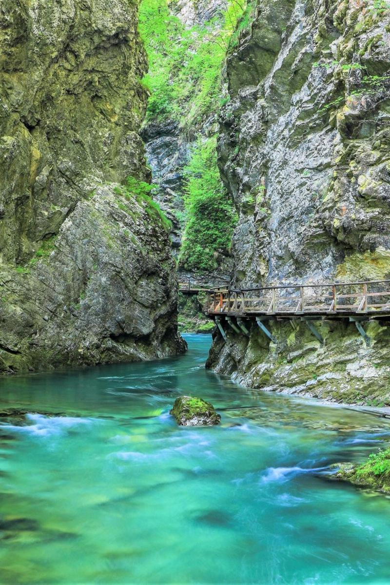 Mia Dream Daire Bled Dış mekan fotoğraf